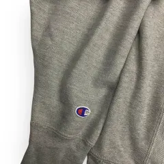 Champion Hoodie (L)