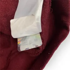 Women The North Face Hoodie (XS)