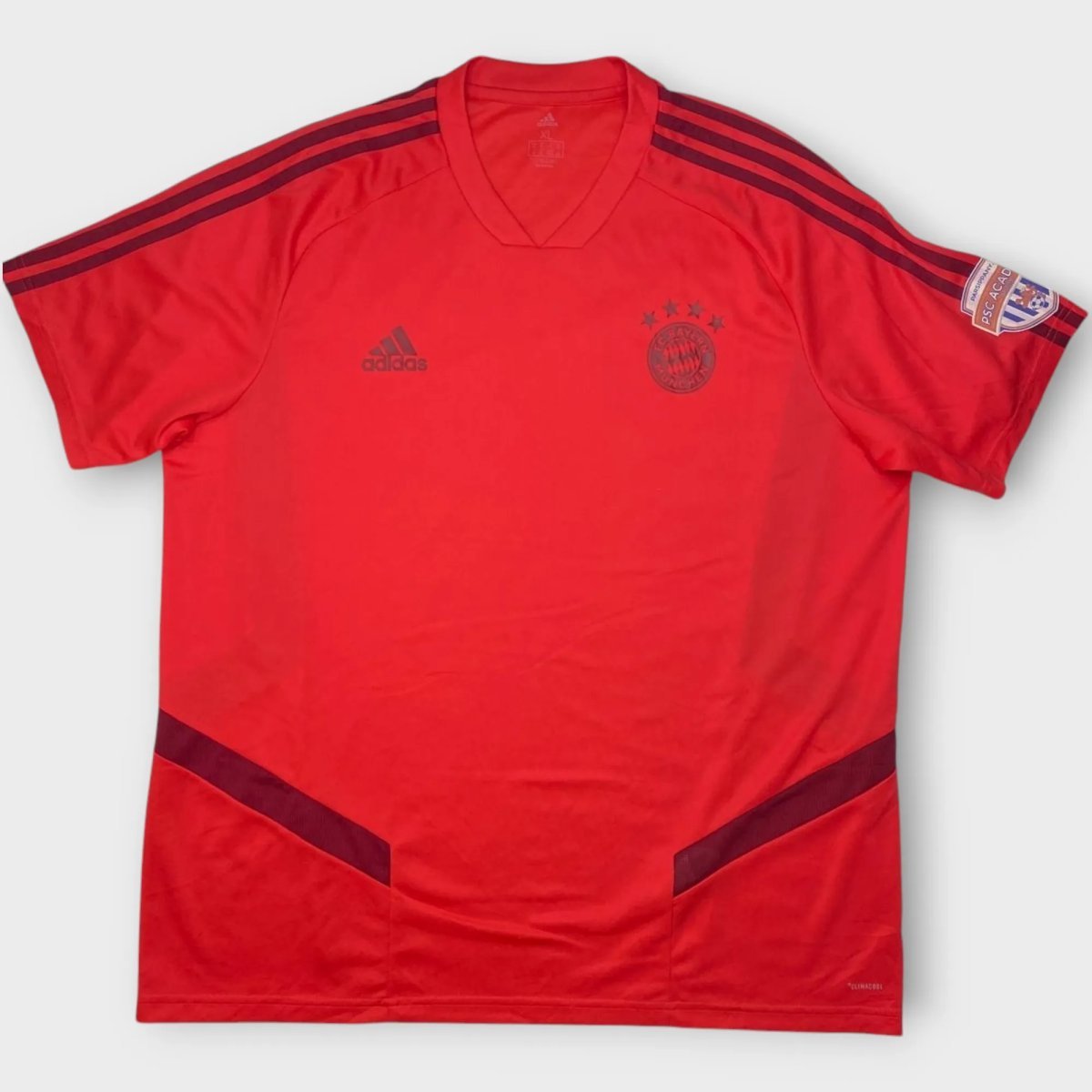 Bayern Munich 2019/2020 Training Jersey (L-XL)