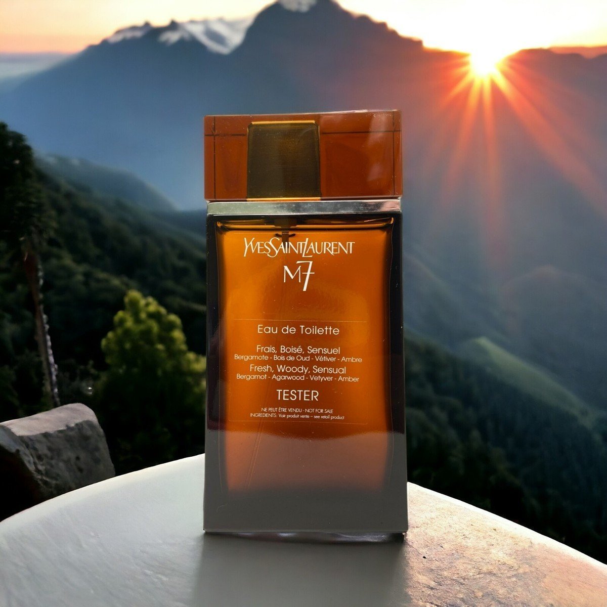 M7 YSL